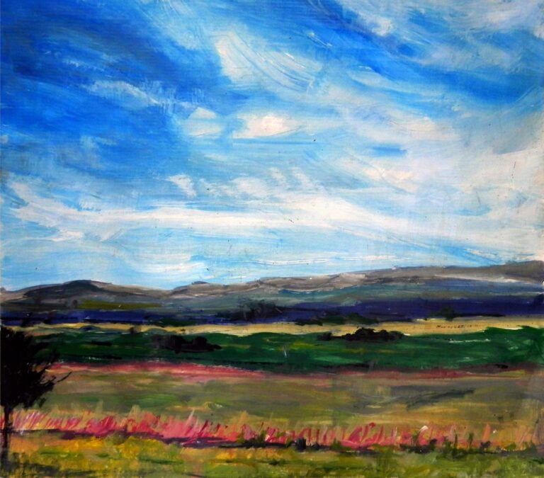 Campo de los primeros II